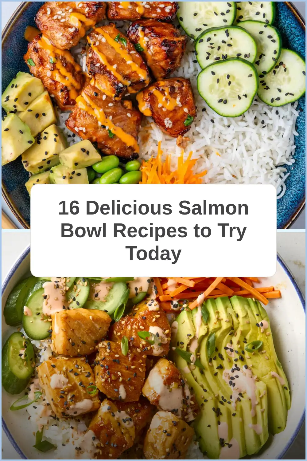 Photo of 16 Delicious Salmon Bowl Recipes to Try Today