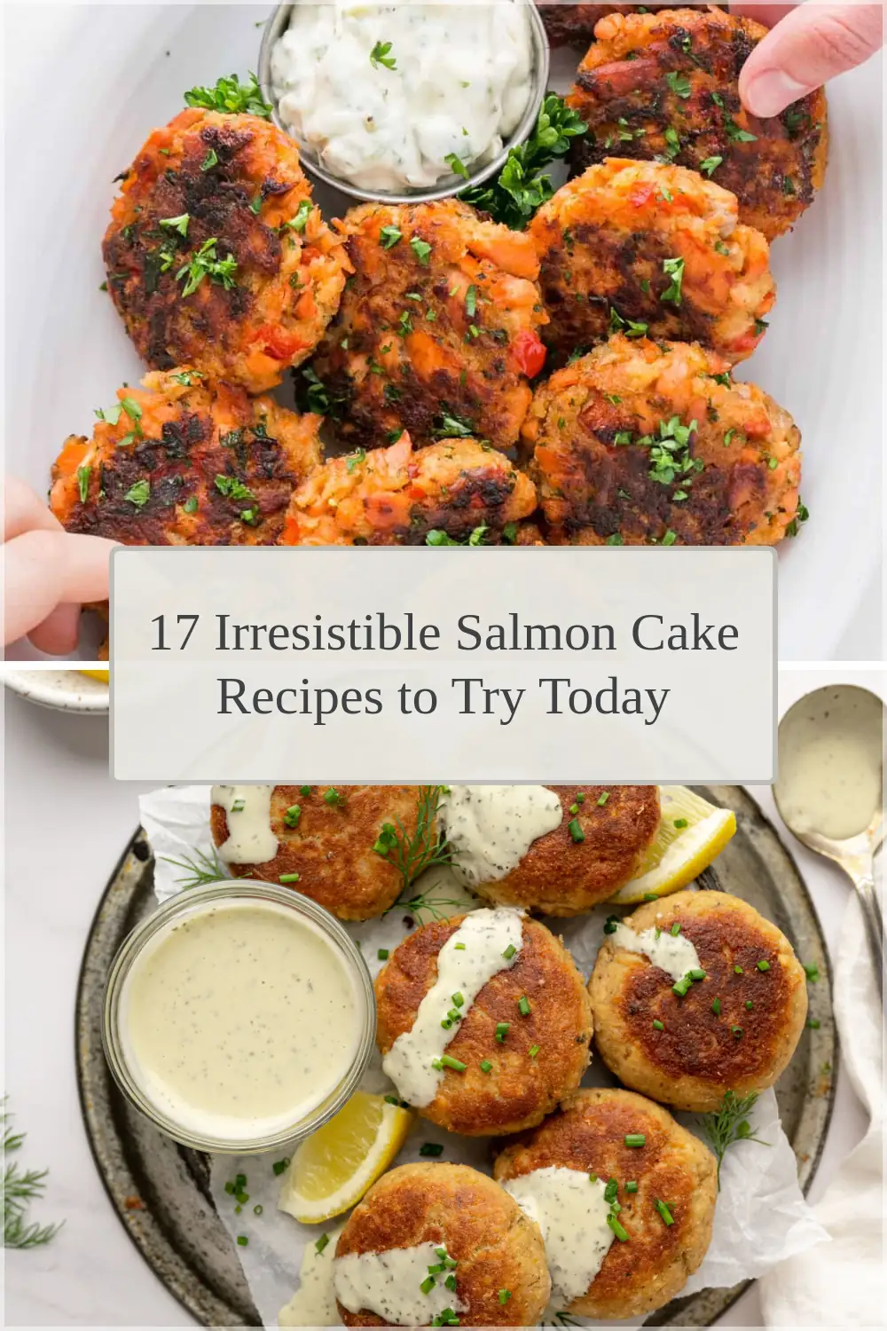 Photo of 17 Irresistible Salmon Cake Recipes to Try Today