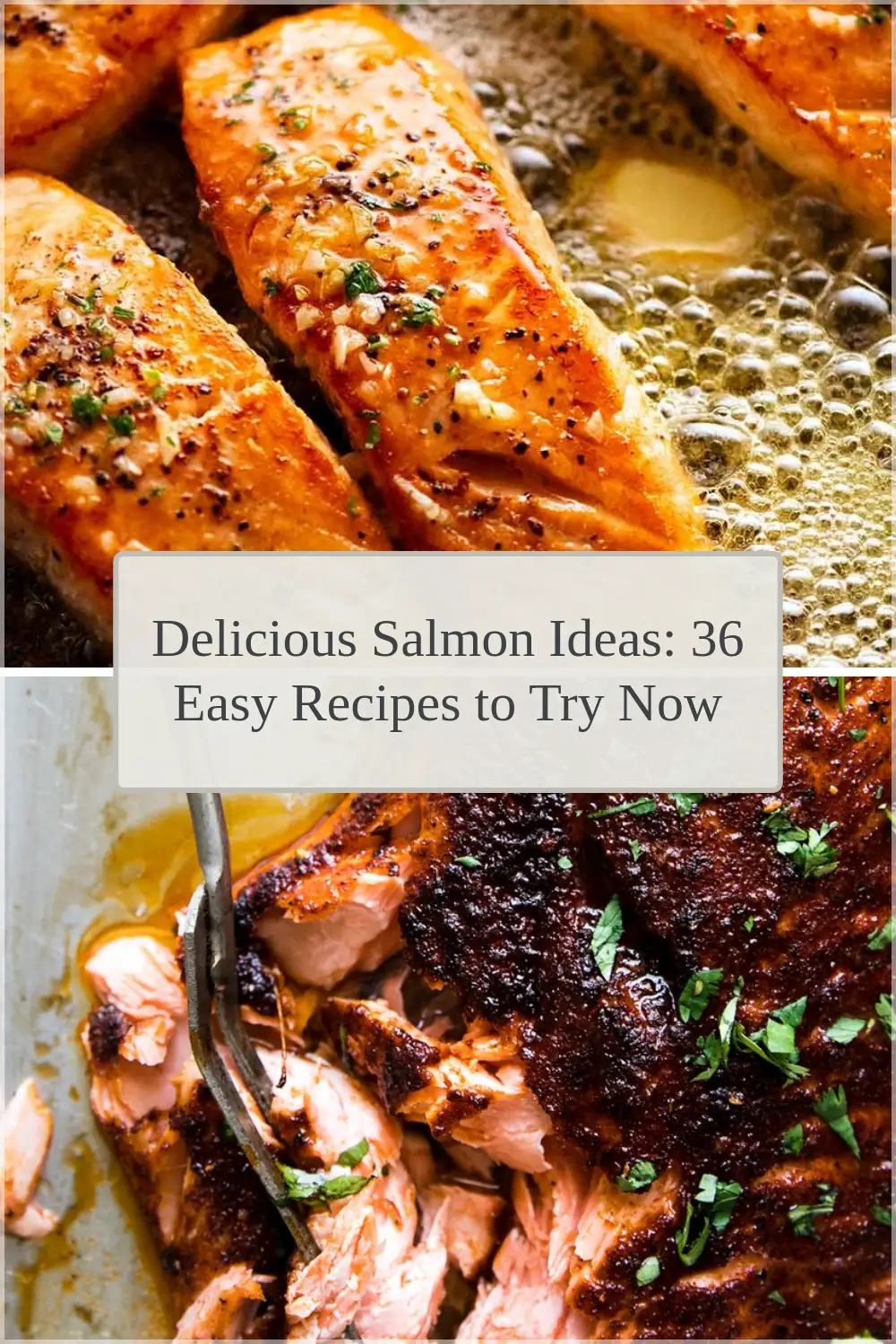 Photo of Delicious Salmon Ideas: 36 Easy Recipes to Try Now