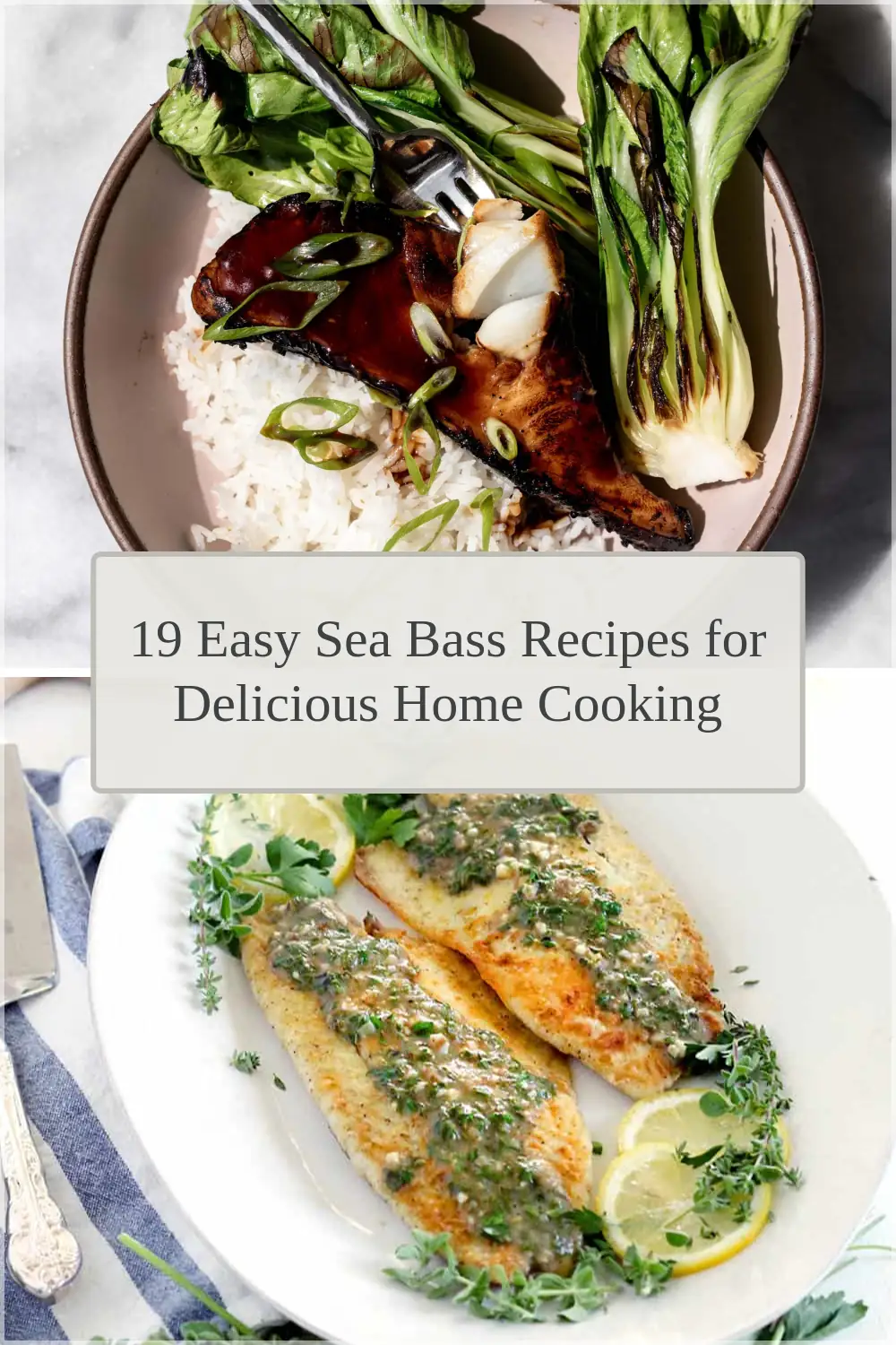 Photo of 19 Easy Sea Bass Recipes for Delicious Home Cooking