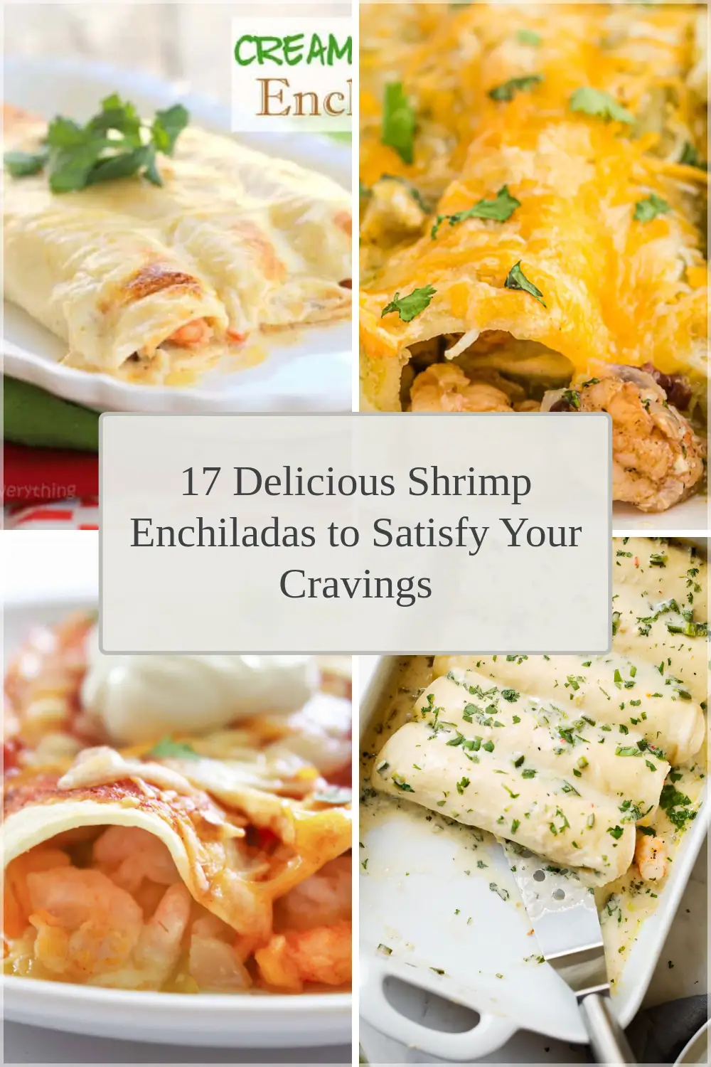 Photo of 17 Delicious Shrimp Enchiladas to Satisfy Your Cravings