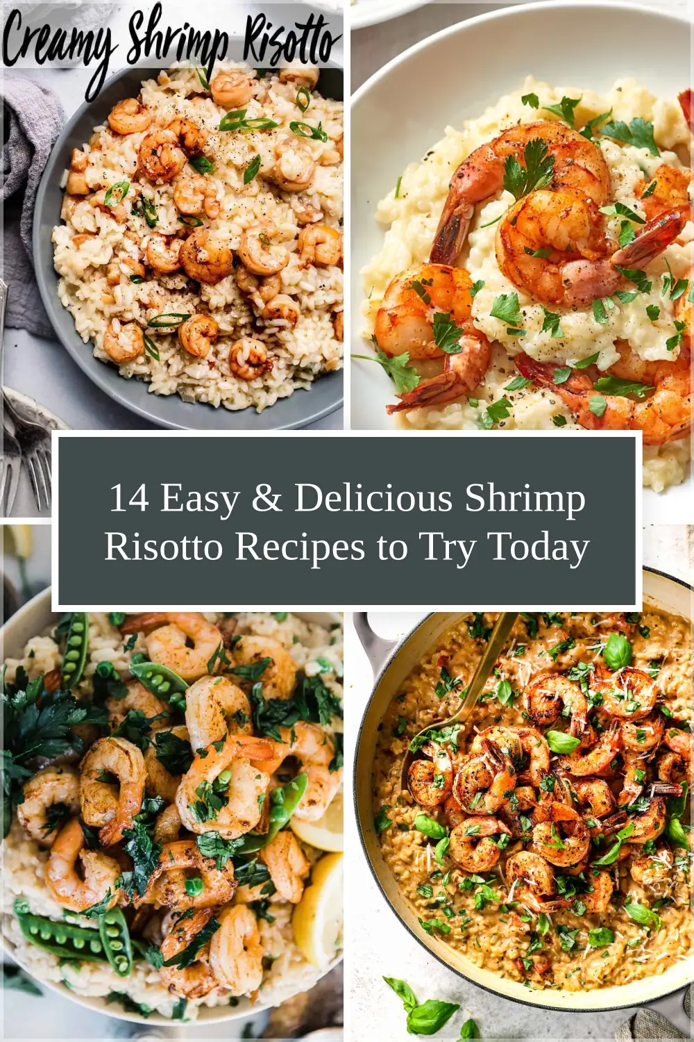 Photo of 14 Easy & Delicious Shrimp Risotto Recipes to Try Today