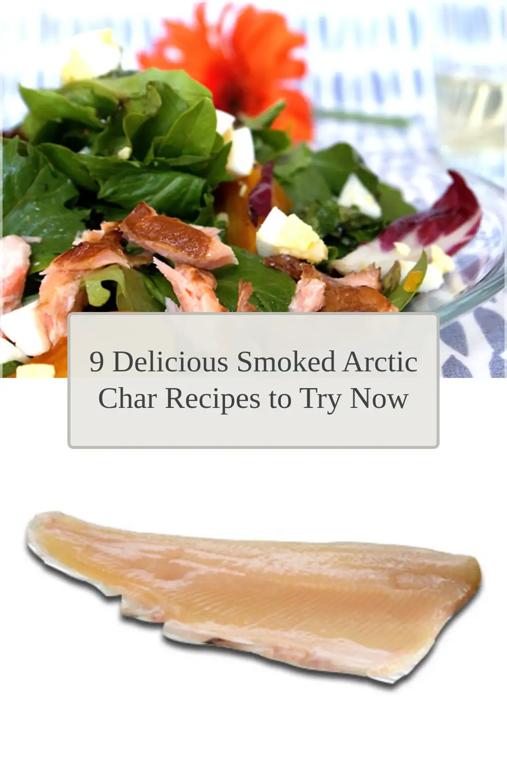 Photo of 9 Delicious Smoked Arctic Char Recipes to Try Now