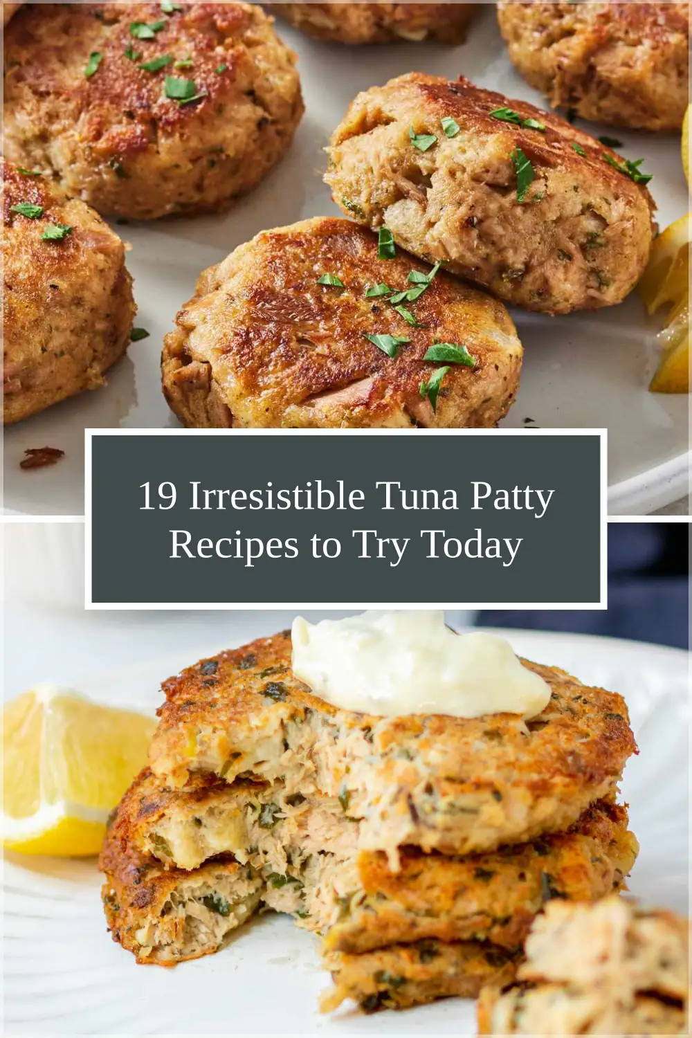Photo of 19 Irresistible Tuna Patty Recipes to Try Today
