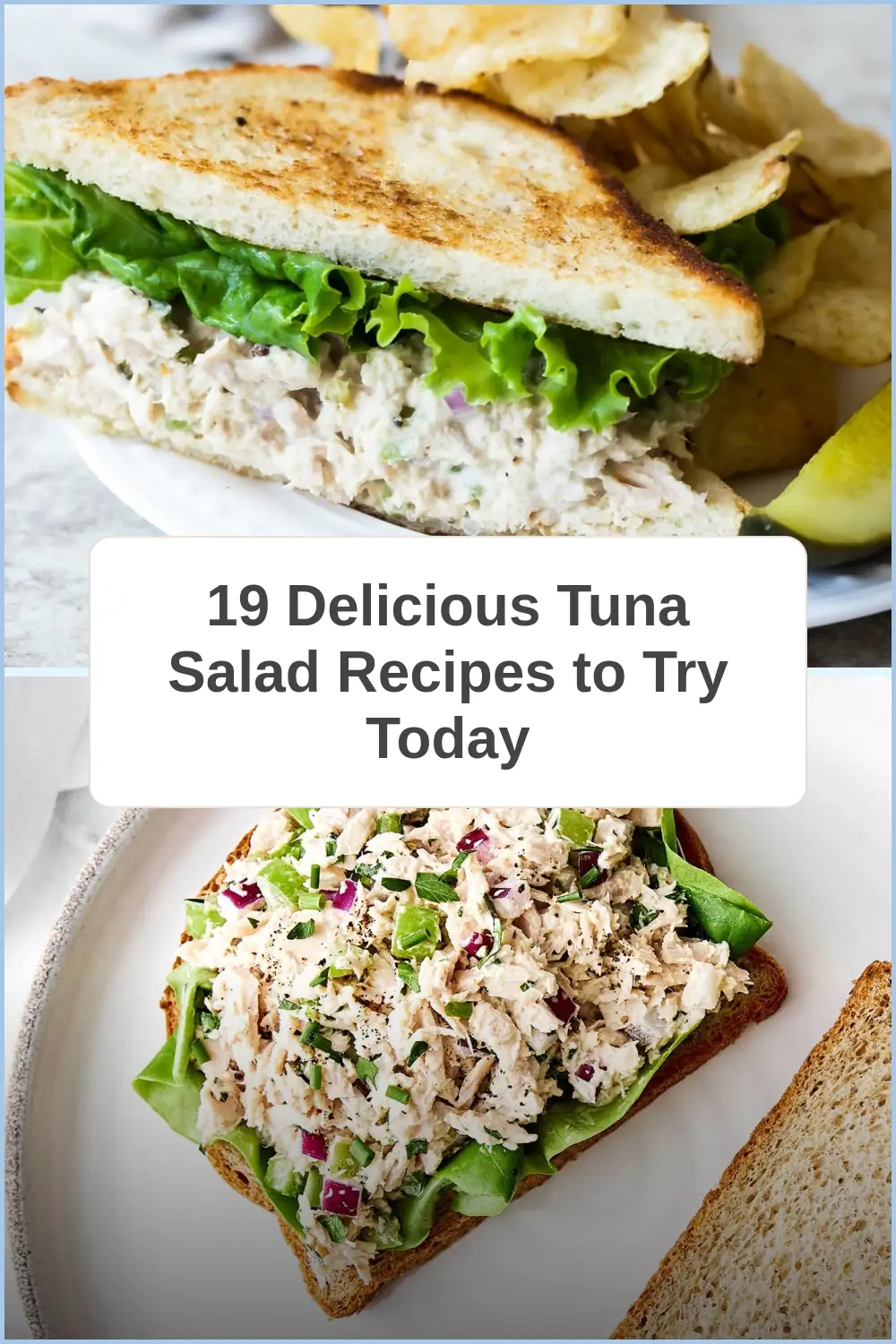 Photo of 19 Delicious Tuna Salad Recipes to Try Today