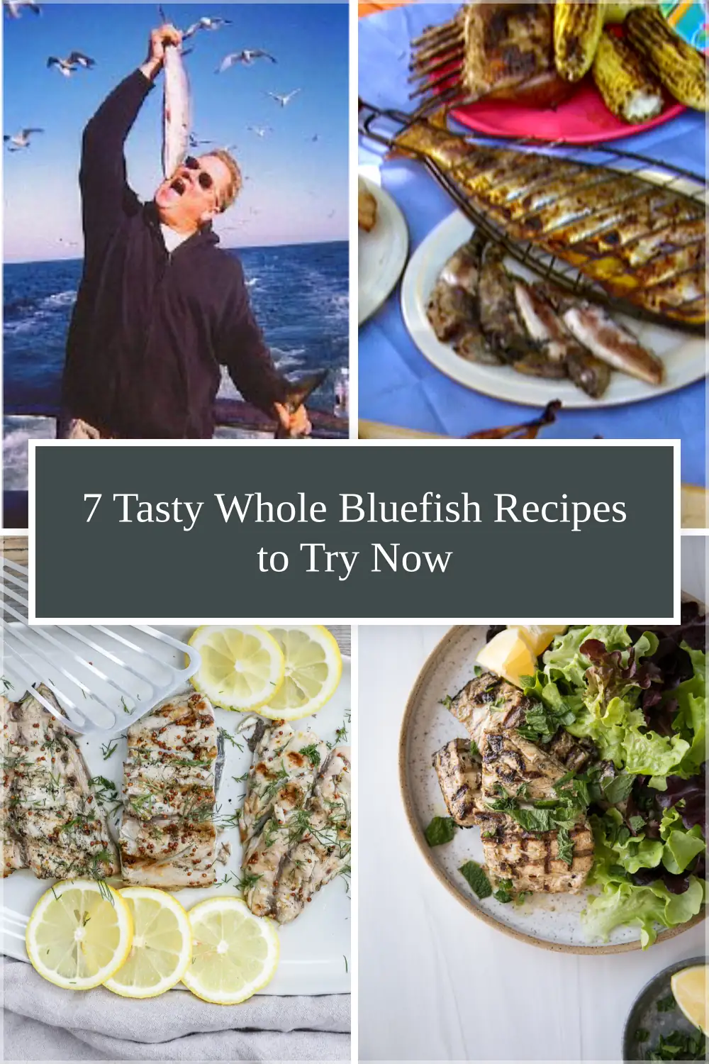 Photo of 7 Tasty Whole Bluefish Recipes to Try Now
